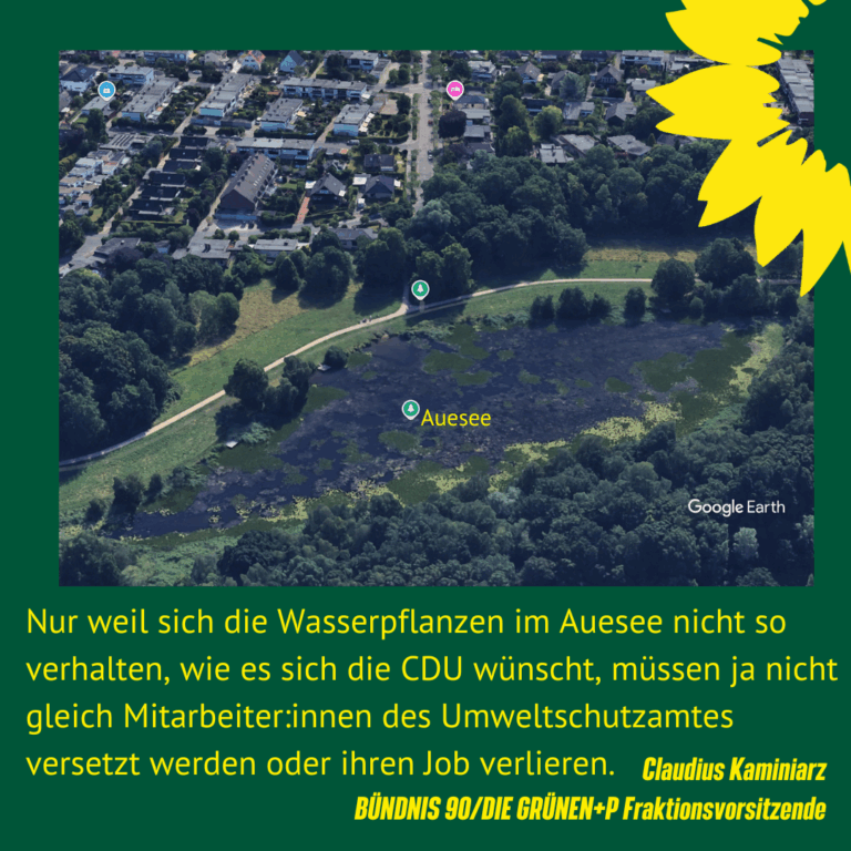 GRÜNE + P zum Auesee
