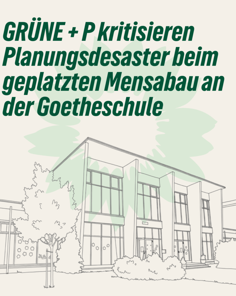 GRÜNE + P kritisieren Planungsdesaster beim geplatzten Mensabau an der Goetheschule