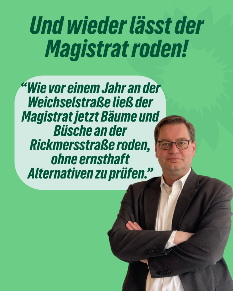 GRÜNE + P: Und wieder lässt der Magistrat roden!