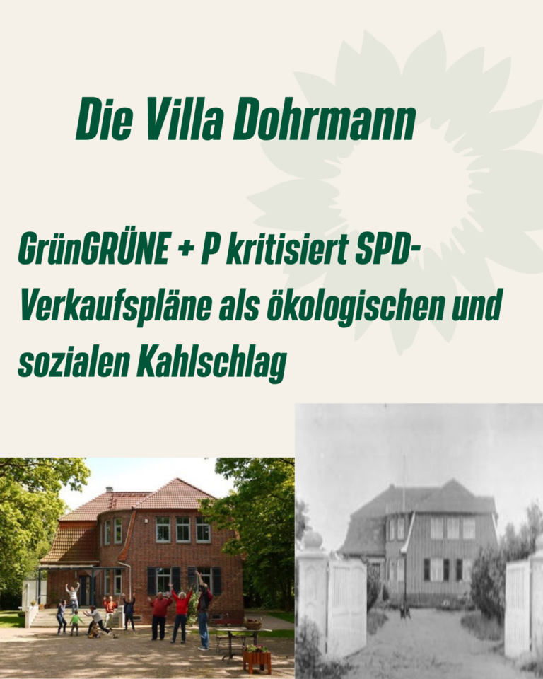 GRÜNE + P kritisiert SPD-Verkaufspläne als ökologischen und sozialen Kahlschlag